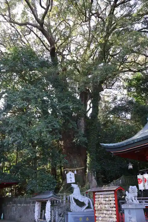 八幡朝見神社(大分県)