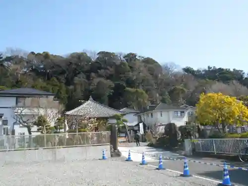 来迎寺（材木座）の景色