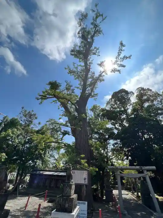 大宮神社(千葉県)