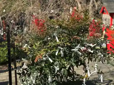 柳津虚空蔵尊 寳性院の{uncategorized: "未分類", other: "その他", undefined: "問題あり", building: "その他建物", grave: "お墓", sacred_gate: "鳥居", guardian: "狛犬", statue: "像", buddha: "仏像", history: "歴史", nature: "自然", garden: "庭園", animal: "動物", pagoda: "塔", temizu: "手水舎", mountain_gate: "山門・神門", sanctuary: "本殿・本堂", subordinate: "末社・摂社", art: "芸術", scenery: "景色", jizo: "地蔵", ema: "絵馬", goshuin: "御朱印", omikuji: "おみくじ", items: "授与品その他", amulet: "お守り", goshuincho: "御朱印帳", eats: "食事", festival: "お祭り", votive_dance: "神楽", shichigosan: "七五三参", wedding: "結婚式", experience: "体験その他", initially: "初詣", around: "周辺", anti_infection: "感染症対策"}