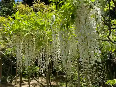 春日大社(奈良県)