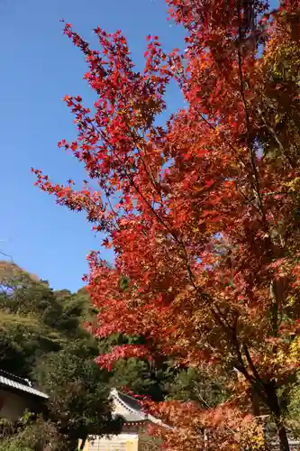 大國主神社の景色