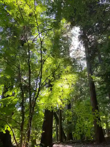 高鴨神社(奈良県)