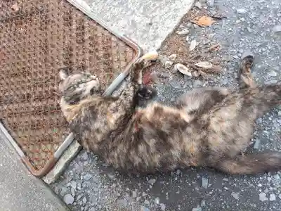 亀岡八幡宮(栃木県)