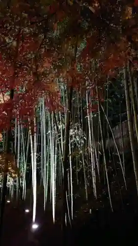 北野天満宮の{uncategorized: "未分類", other: "その他", undefined: "問題あり", building: "その他建物", grave: "お墓", sacred_gate: "鳥居", guardian: "狛犬", statue: "像", buddha: "仏像", history: "歴史", nature: "自然", garden: "庭園", animal: "動物", pagoda: "塔", temizu: "手水舎", mountain_gate: "山門・神門", sanctuary: "本殿・本堂", subordinate: "末社・摂社", art: "芸術", scenery: "景色", jizo: "地蔵", ema: "絵馬", goshuin: "御朱印", omikuji: "おみくじ", items: "授与品その他", amulet: "お守り", goshuincho: "御朱印帳", eats: "食事", festival: "お祭り", votive_dance: "神楽", shichigosan: "七五三参", wedding: "結婚式", experience: "体験その他", initially: "初詣", around: "周辺", anti_infection: "感染症対策"}
