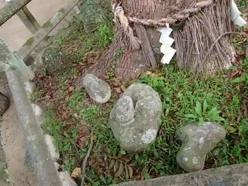 志賀海神社の自然