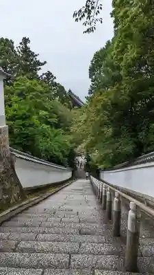 知恩院(京都府)