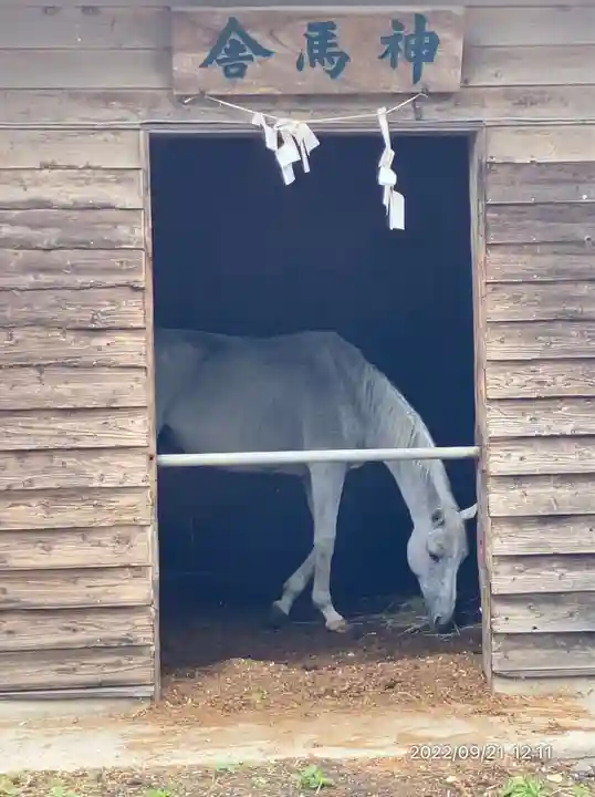 小室浅間神社(山梨県)