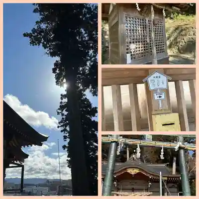 三輪神社(兵庫県)