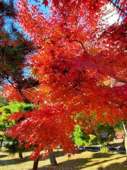 開成山大神宮(福島県)