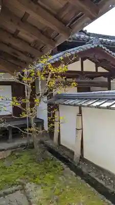 隨心院(随心院)(京都府)