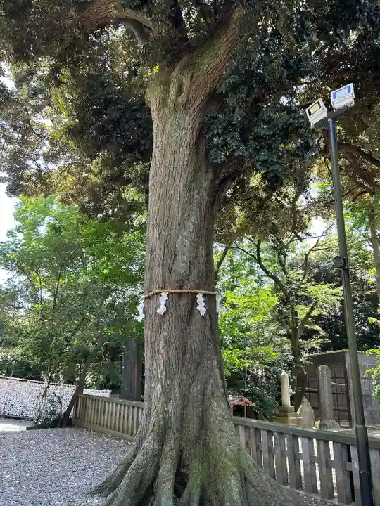 岩槻久伊豆神社(埼玉県)