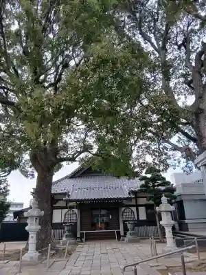 西福寺の{uncategorized: "未分類", other: "その他", undefined: "問題あり", building: "その他建物", grave: "お墓", sacred_gate: "鳥居", guardian: "狛犬", statue: "像", buddha: "仏像", history: "歴史", nature: "自然", garden: "庭園", animal: "動物", pagoda: "塔", temizu: "手水舎", mountain_gate: "山門・神門", sanctuary: "本殿・本堂", subordinate: "末社・摂社", art: "芸術", scenery: "景色", jizo: "地蔵", ema: "絵馬", goshuin: "御朱印", omikuji: "おみくじ", items: "授与品その他", amulet: "お守り", goshuincho: "御朱印帳", eats: "食事", festival: "お祭り", votive_dance: "神楽", shichigosan: "七五三参", wedding: "結婚式", experience: "体験その他", initially: "初詣", around: "周辺", anti_infection: "感染症対策"}