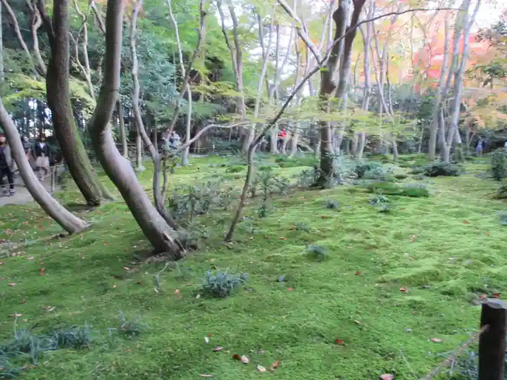 祇王寺(京都府)