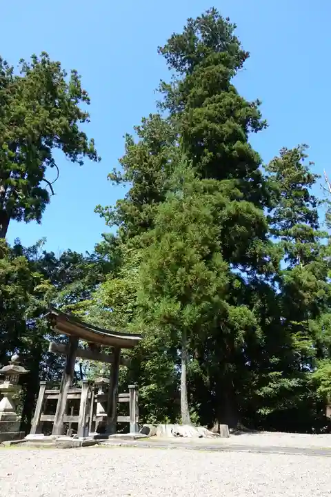 春日神社の自然