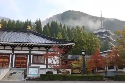 清大寺(越前大仏)(福井県)