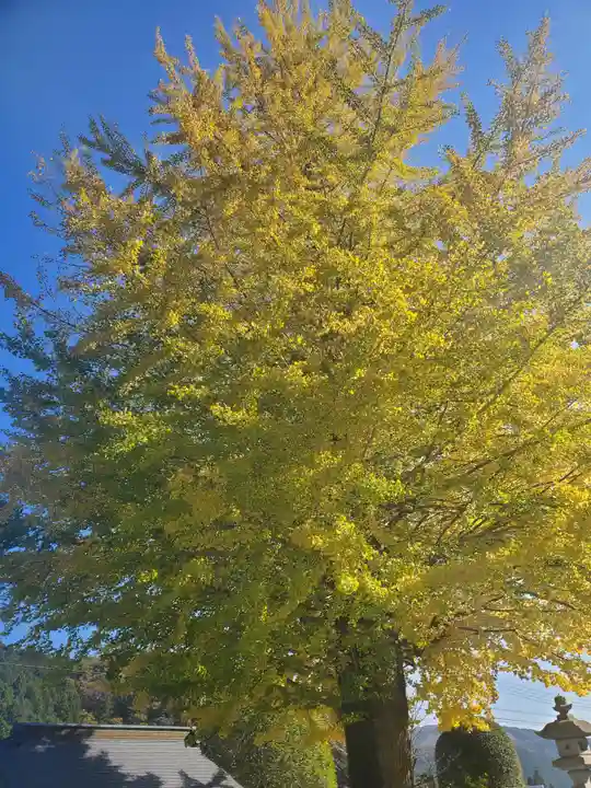 御嶽山神社の自然