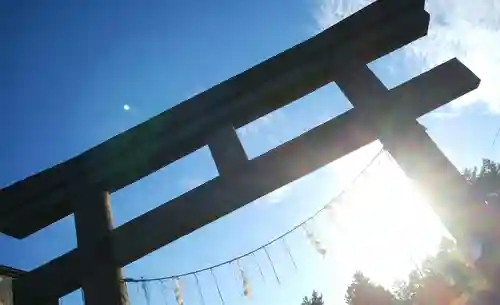 鹿部稲荷神社の鳥居