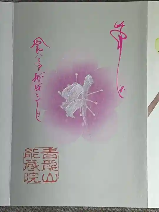 能蔵院の{uncategorized: "未分類", other: "その他", undefined: "問題あり", building: "その他建物", grave: "お墓", sacred_gate: "鳥居", guardian: "狛犬", statue: "像", buddha: "仏像", history: "歴史", nature: "自然", garden: "庭園", animal: "動物", pagoda: "塔", temizu: "手水舎", mountain_gate: "山門・神門", sanctuary: "本殿・本堂", subordinate: "末社・摂社", art: "芸術", scenery: "景色", jizo: "地蔵", ema: "絵馬", goshuin: "御朱印", omikuji: "おみくじ", items: "授与品その他", amulet: "お守り", goshuincho: "御朱印帳", eats: "食事", festival: "お祭り", votive_dance: "神楽", shichigosan: "七五三参", wedding: "結婚式", experience: "体験その他", initially: "初詣", around: "周辺", anti_infection: "感染症対策"}