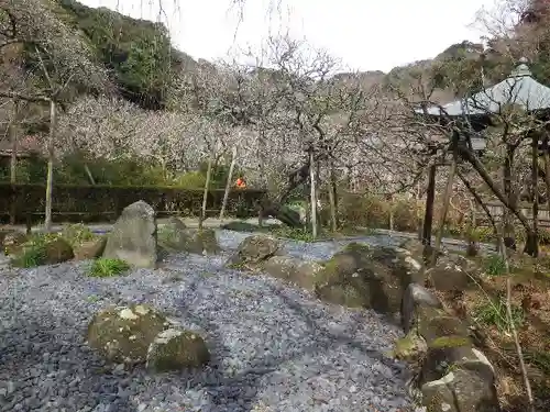 瑞泉寺の庭園