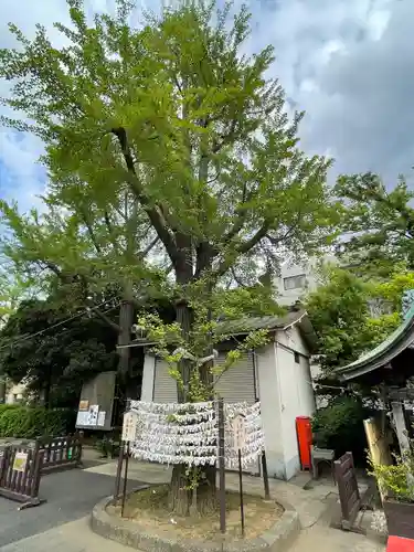 溝口神社の自然