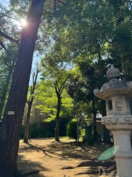 豊玉氷川神社の{uncategorized: "未分類", other: "その他", undefined: "問題あり", building: "その他建物", grave: "お墓", sacred_gate: "鳥居", guardian: "狛犬", statue: "像", buddha: "仏像", history: "歴史", nature: "自然", garden: "庭園", animal: "動物", pagoda: "塔", temizu: "手水舎", mountain_gate: "山門・神門", sanctuary: "本殿・本堂", subordinate: "末社・摂社", art: "芸術", scenery: "景色", jizo: "地蔵", ema: "絵馬", goshuin: "御朱印", omikuji: "おみくじ", items: "授与品その他", amulet: "お守り", goshuincho: "御朱印帳", eats: "食事", festival: "お祭り", votive_dance: "神楽", shichigosan: "七五三参", wedding: "結婚式", experience: "体験その他", initially: "初詣", around: "周辺", anti_infection: "感染症対策"}