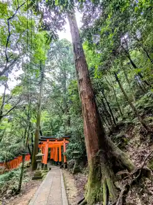 伏見稲荷大社(京都府)