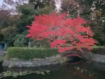蓮池弁財尊天(宮城県)
