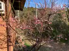 清閑寺(愛知県)