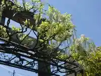 徳王稲荷社・金刀比羅社(愛知県)