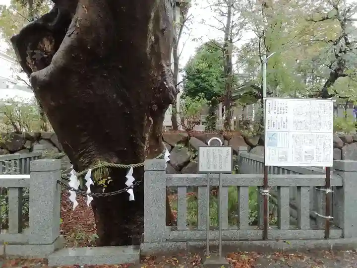 青渭神社(東京都)