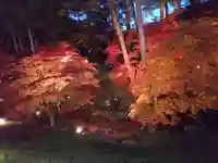 龍興山神社の自然