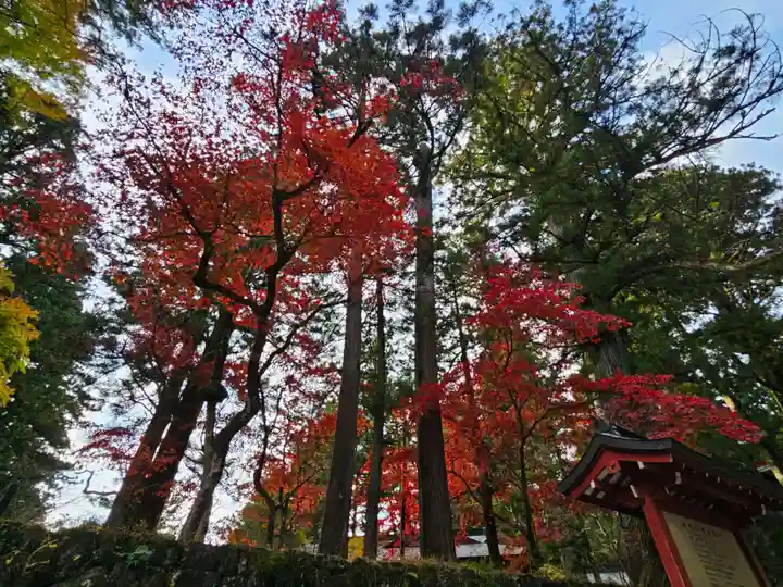 日光東照宮(栃木県)