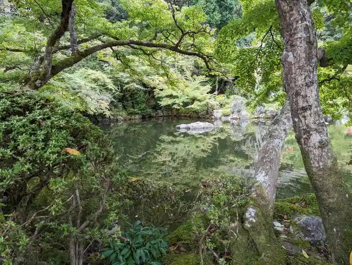 醍醐寺(京都府)