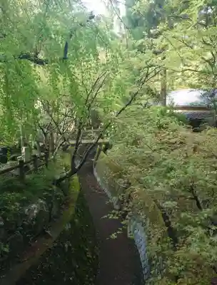 五所駒瀧神社(茨城県)