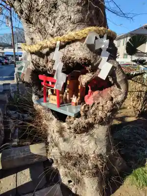 稲荷神社(埼玉県)