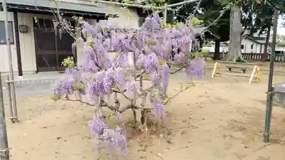 香取大神社(千葉県)