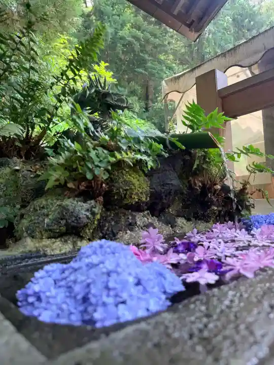 穴澤天神社(東京都)