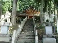 高賀神社の狛犬