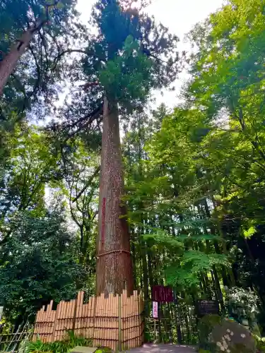 水澤寺(水澤観世音)(群馬県)