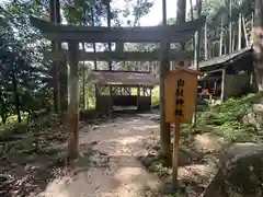 白鬚神社(滋賀県)