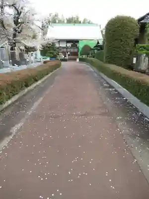 真光寺(千葉県)