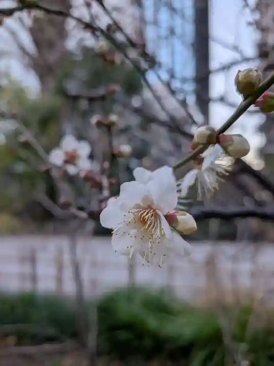 成子天神社(東京都)