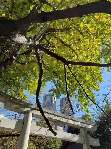 熊野神社(東京都)