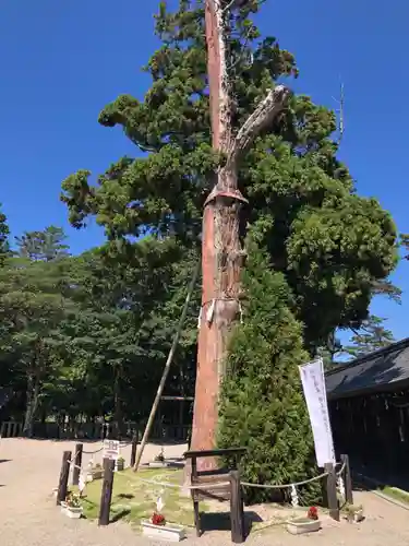 吉備津彦神社(岡山県)