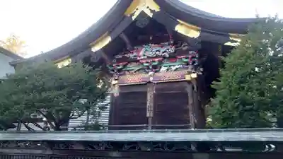 秩父神社の本殿・本堂
