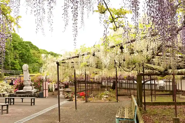 長泉寺(埼玉県)