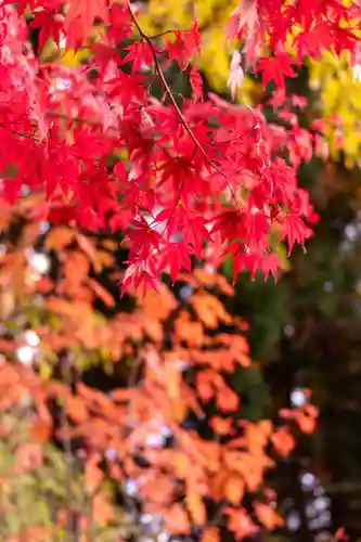 山家神社(長野県)
