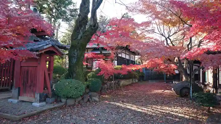 豪徳寺の庭園