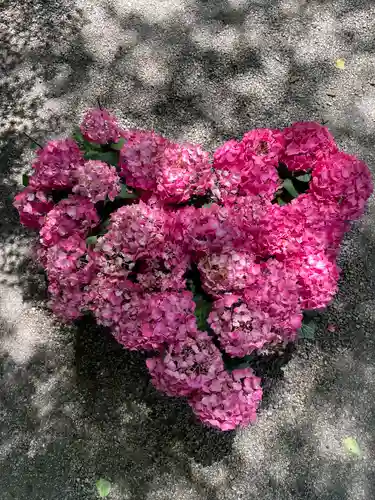 岡寺（龍蓋寺）(奈良県)